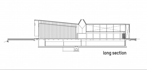 Longitudinal Section