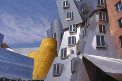 Stata Center