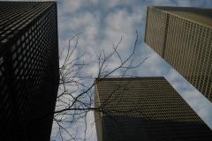 Toronto Dominion Centre