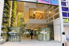 Nicolas G Hayek Center