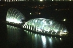 Gardens by the Bay domes