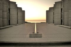 salk institute