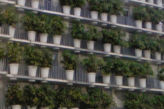 Tower Flower