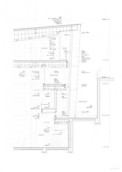 xinjin-section2